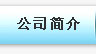 公司簡(jiǎn)介